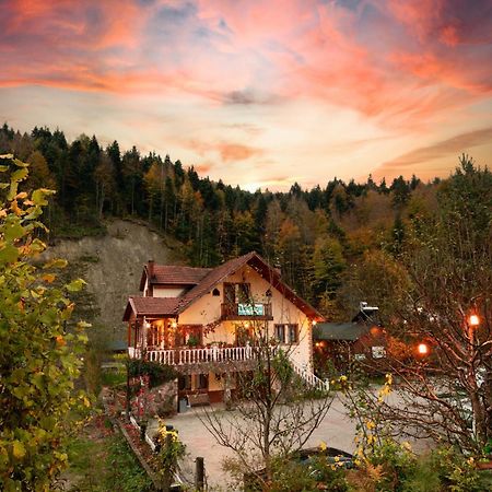 Bed and Breakfast Abant Doga Koeskue Болу Екстер'єр фото